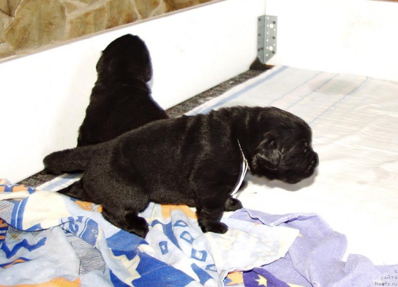 Фотография № 156720