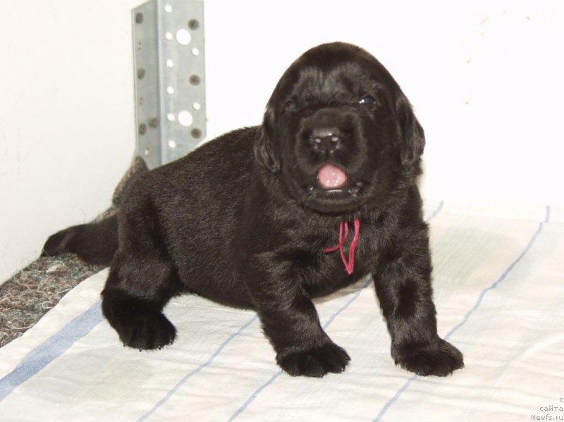 Фотография № 156721