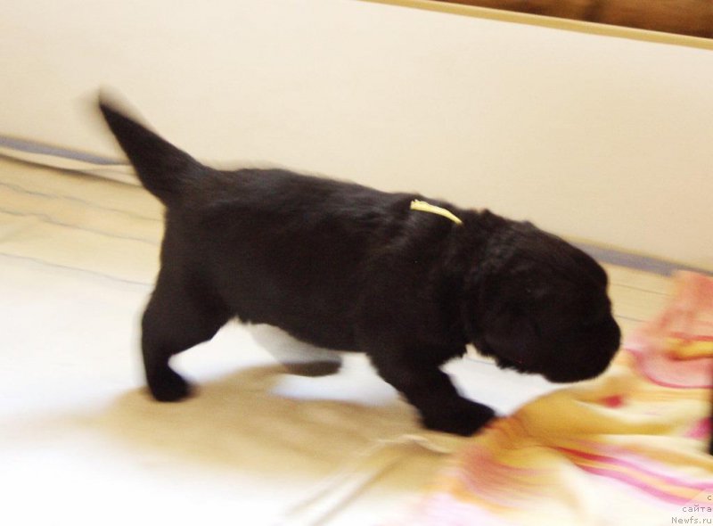 Фотография № 156724