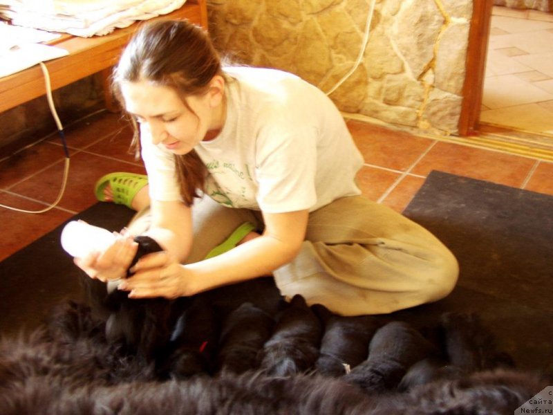 Фотография № 156726