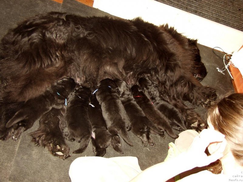 Фотография № 156727