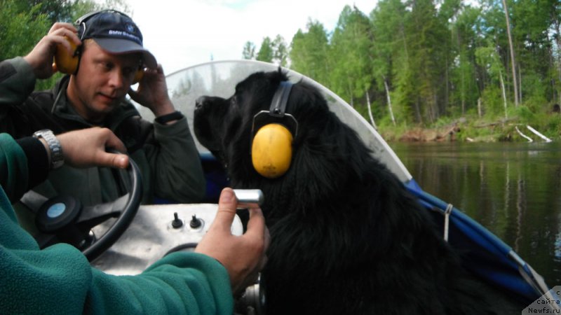 Фотография № 156744