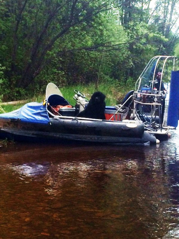 Фотография № 156749