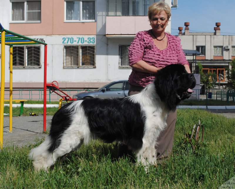 Фотография № 156782