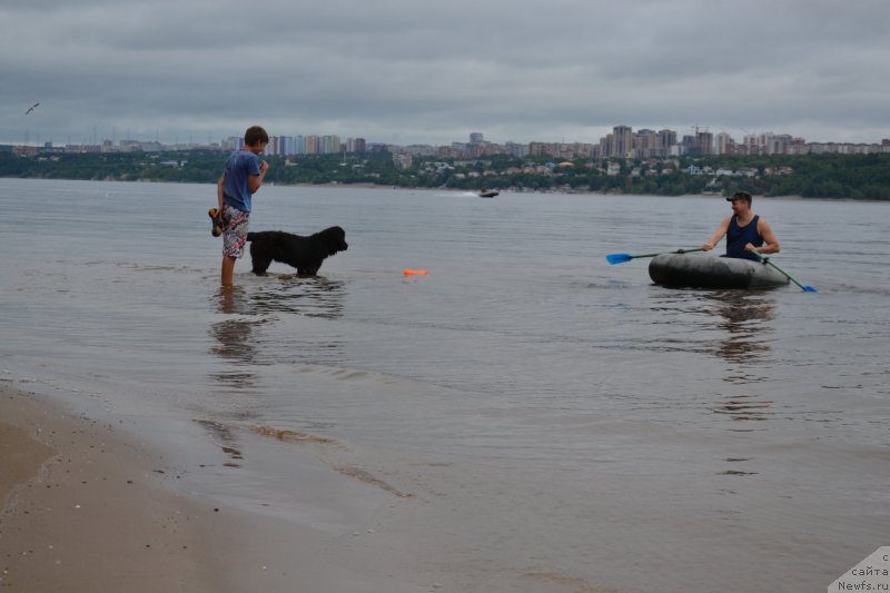 Фотография № 156789