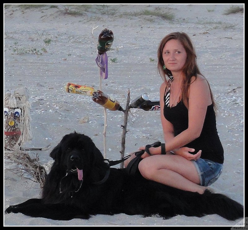 Фото: ньюфаундленд Рэш