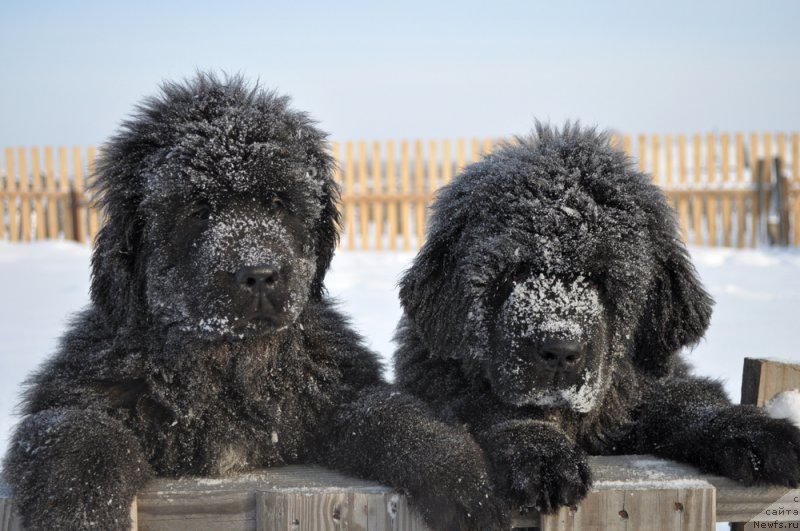 Фотография № 156819