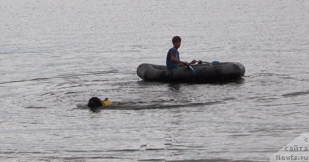 Фотография № 156824