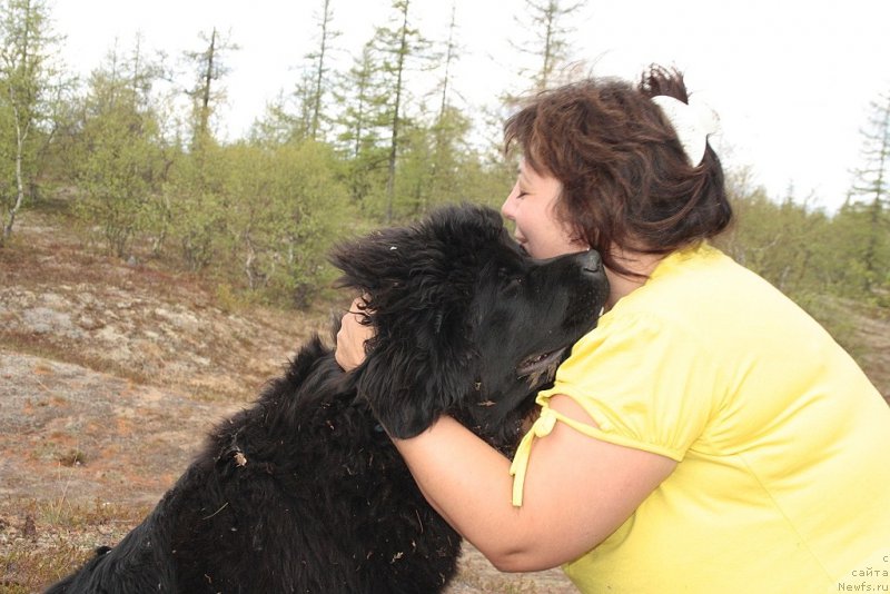 Фотография № 156848