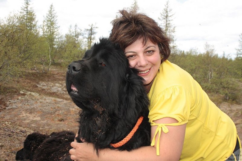 Фотография № 156849