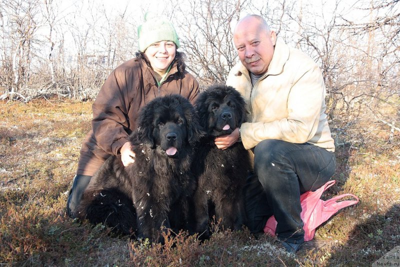 Фотография № 156850