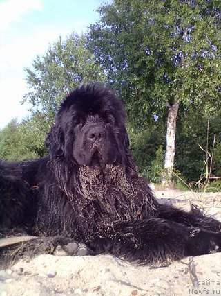 Фотография № 156896