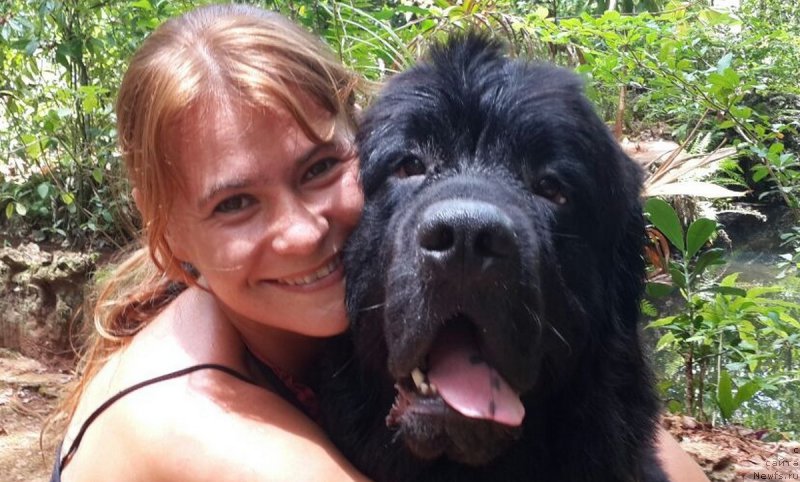 Фотография № 156990