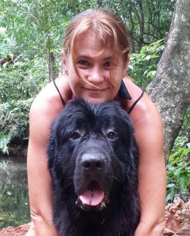 Фотография № 156992