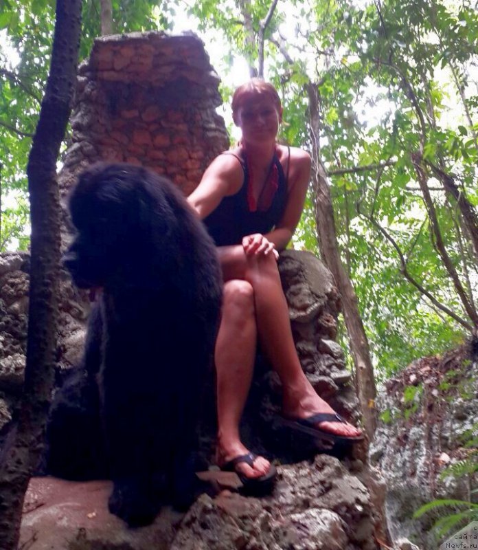 Фотография № 156993