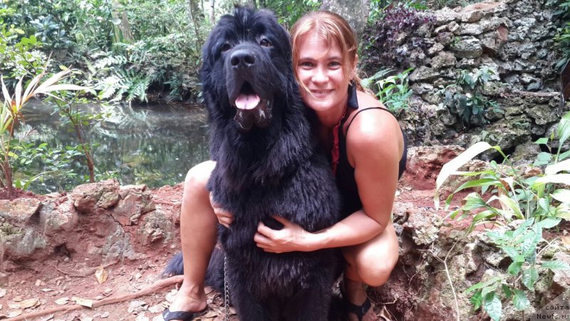 Фотография № 156995