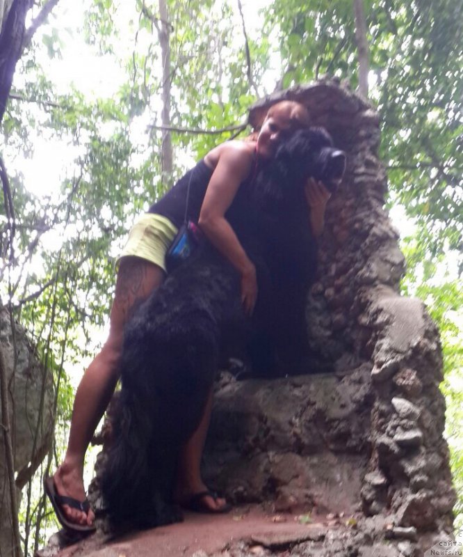 Фотография № 156996