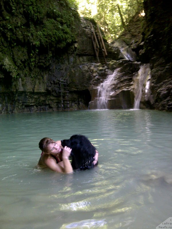 Фотография № 156997