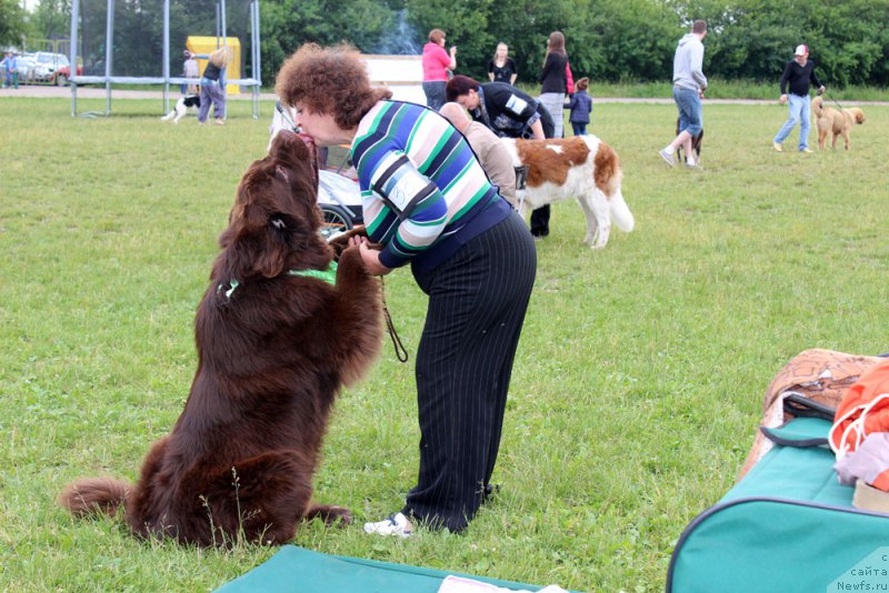 Фотография № 156999