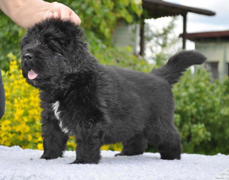 Фотография № 157053