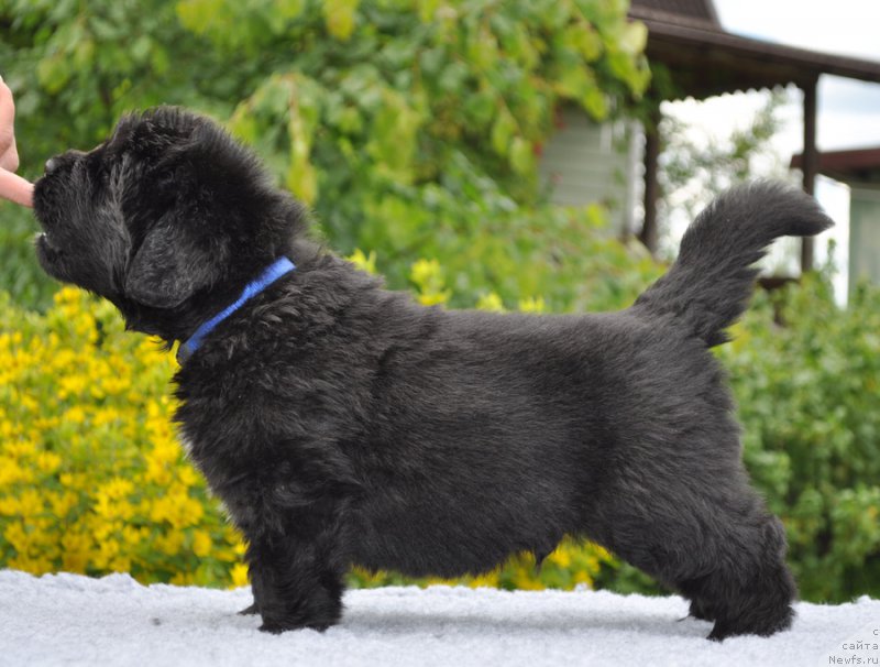 Фотография № 157054