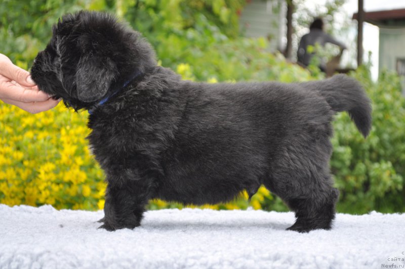 Фотография № 157055