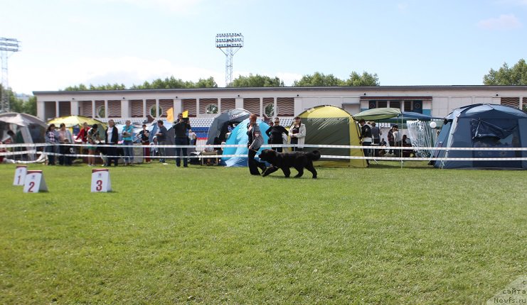 Фотография № 157056