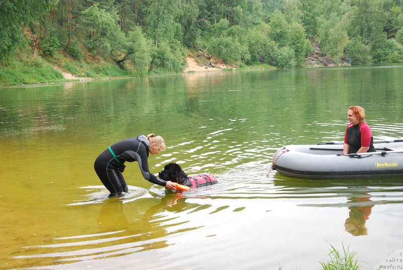 Фотография № 157066