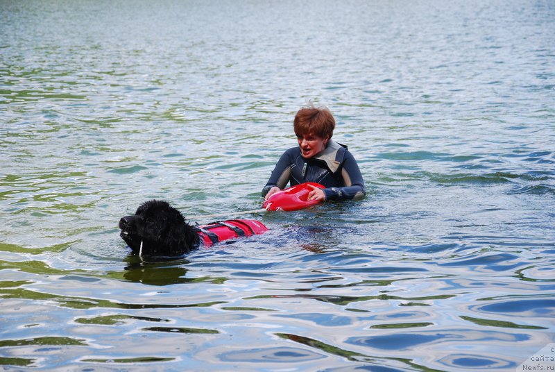 Фотография № 157067