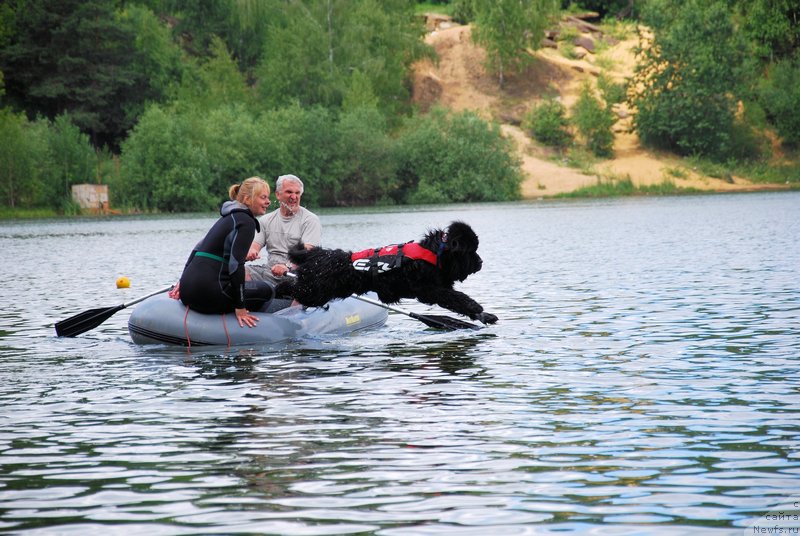 Фотография № 157068