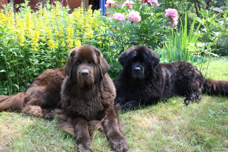 Фотография № 157087