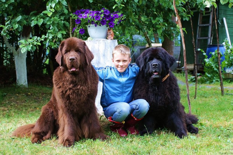 Фотография № 157089