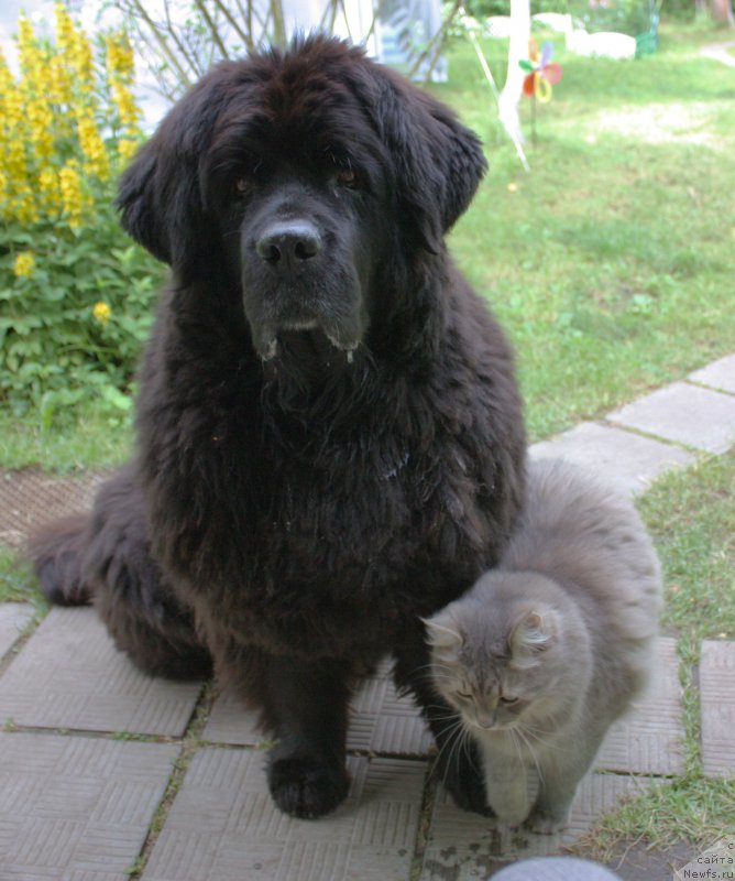 Фотография № 157091