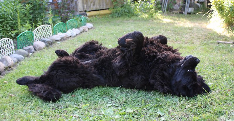 Фотография № 157094