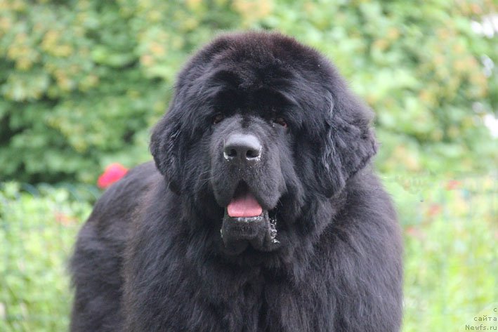 Фотография № 157101