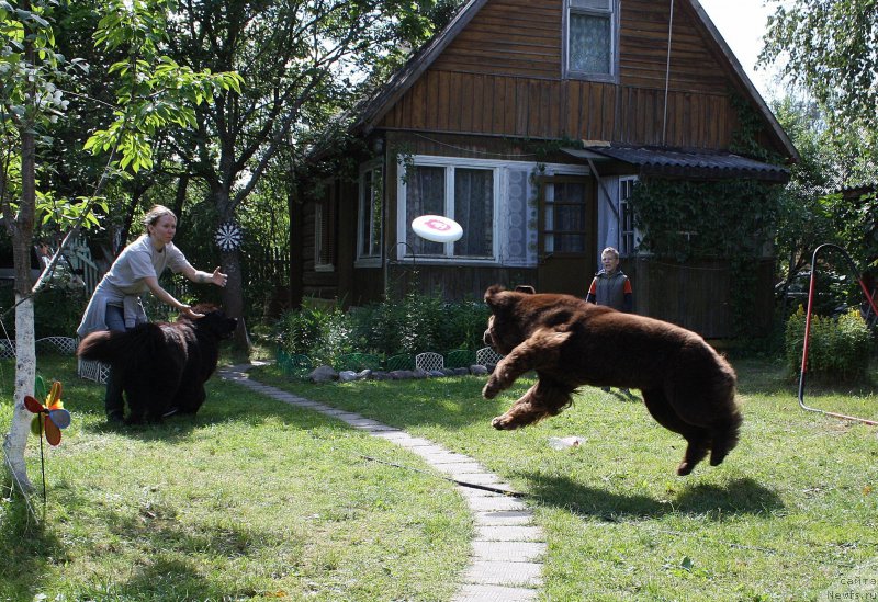 Фотография № 157102