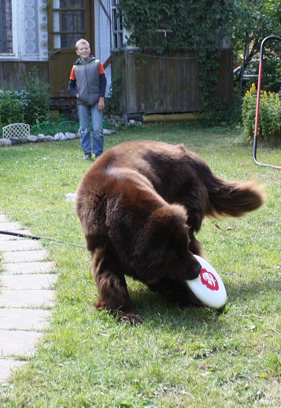 Фотография № 157105