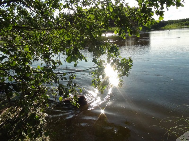 Фотография № 157137