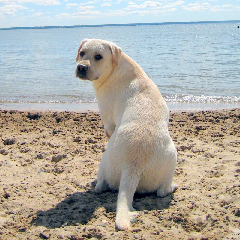 Фото: Ольга Петренко