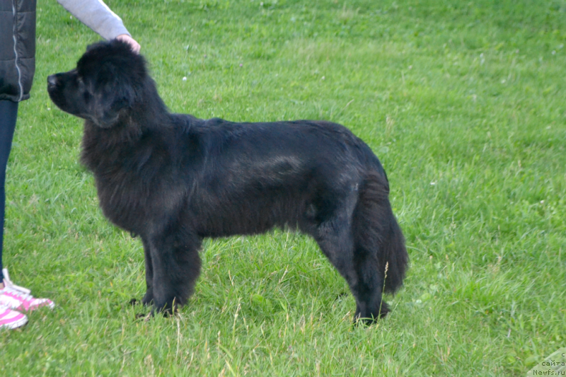 Фотография № 157155