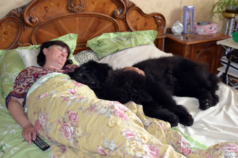 Фотография № 157157