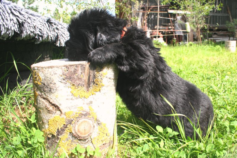 Фотография № 157160