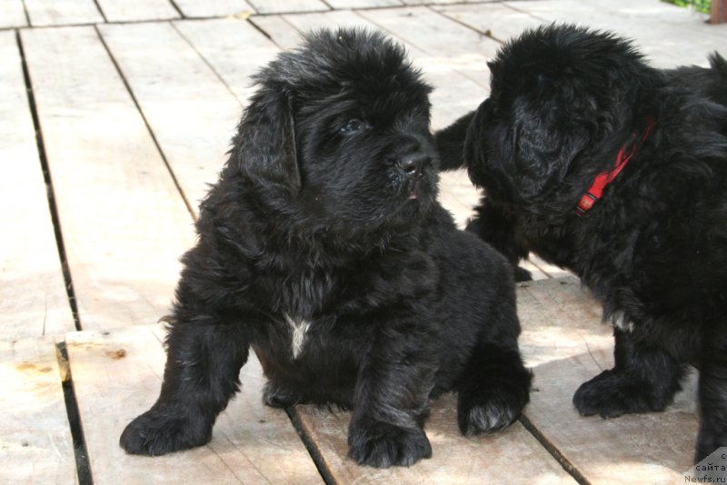 Фотография № 157168