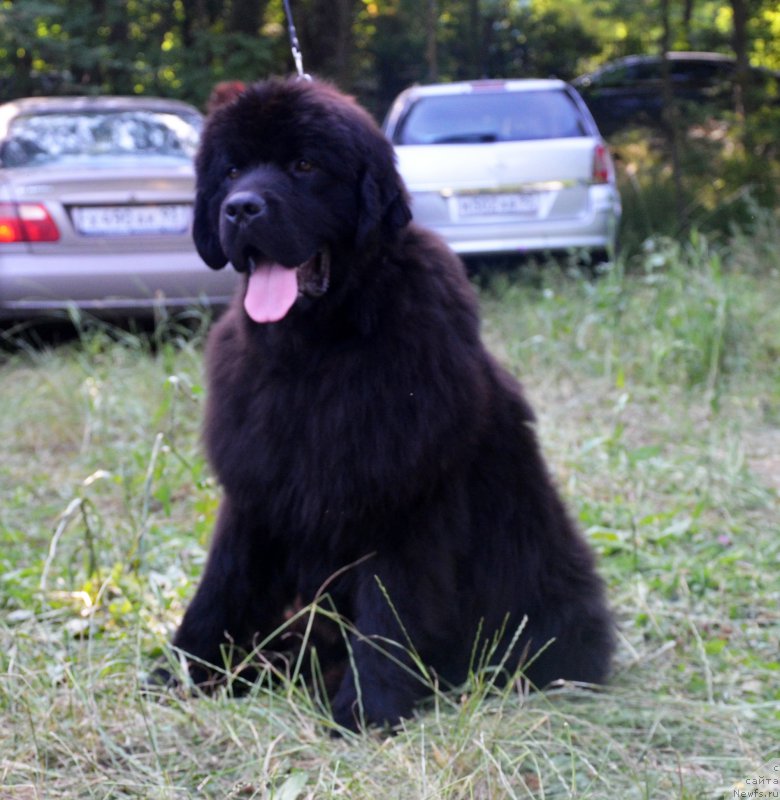 Фотография № 157190