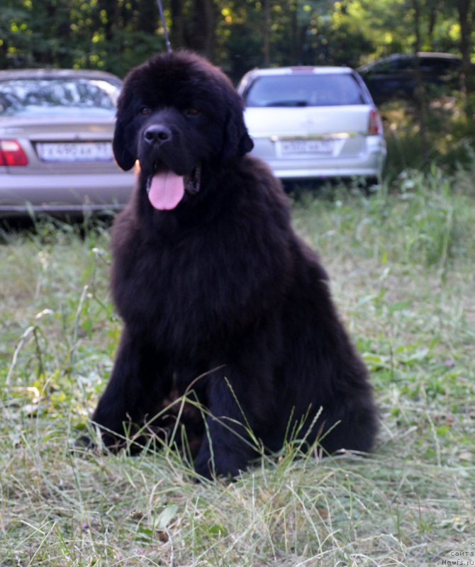 Фотография № 157191