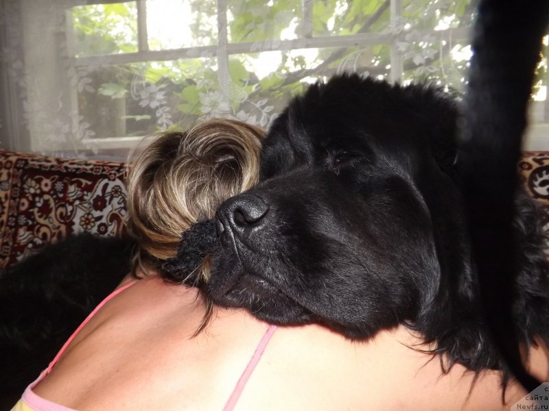 Фотография № 157204