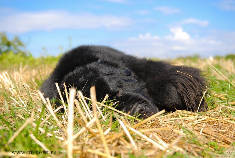 Фотография № 157210