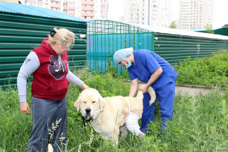 Фотография № 157228