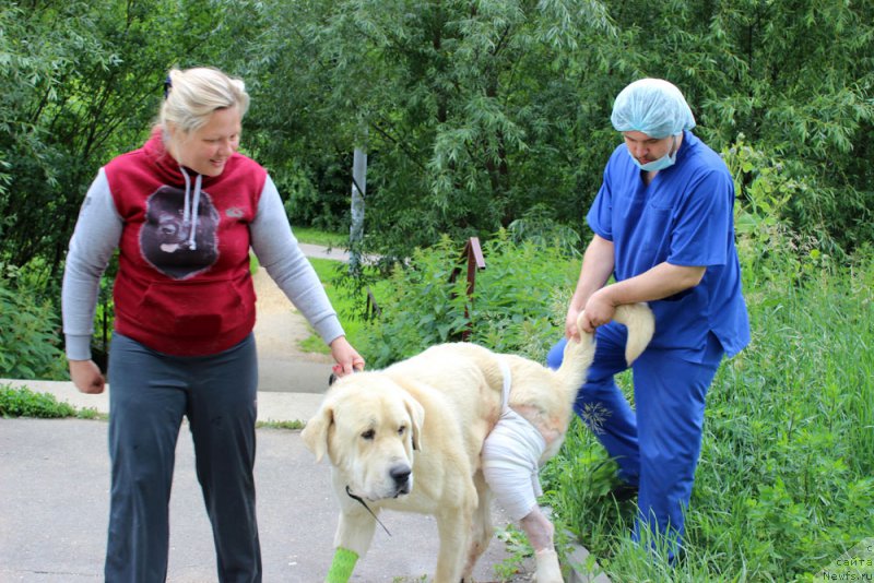 Фотография № 157231