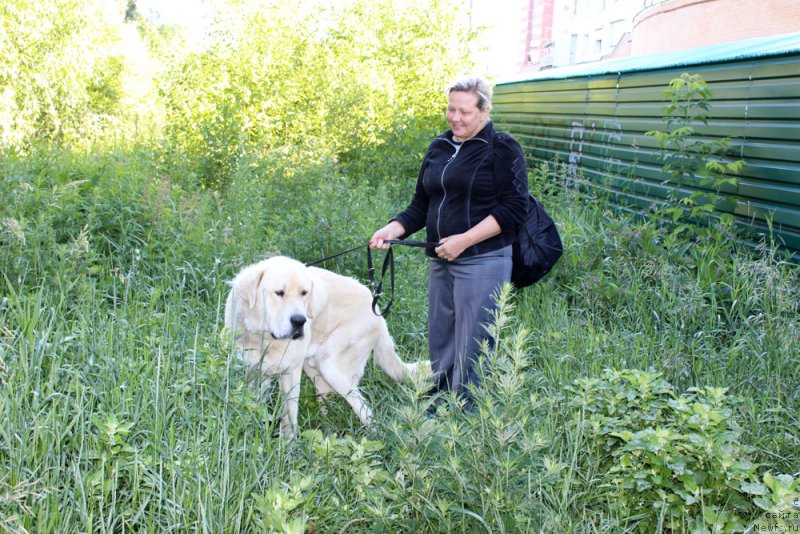 Фотография № 157235